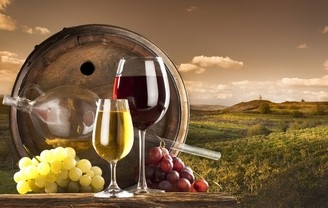 ���ѾƵ�Ψ����˵